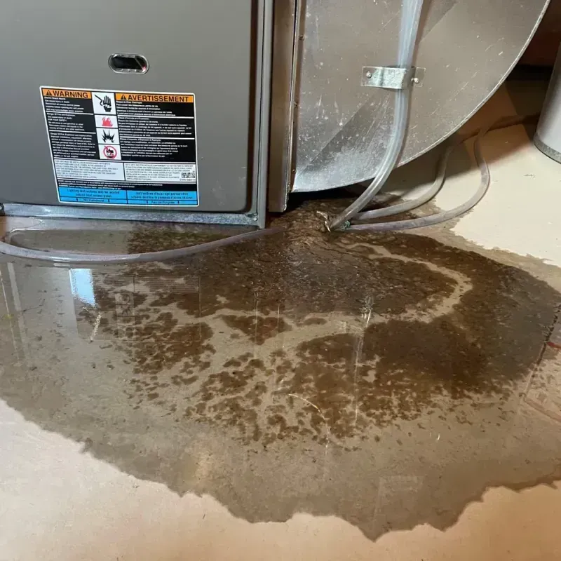 Appliance Leak Cleanup in Richmond, TX